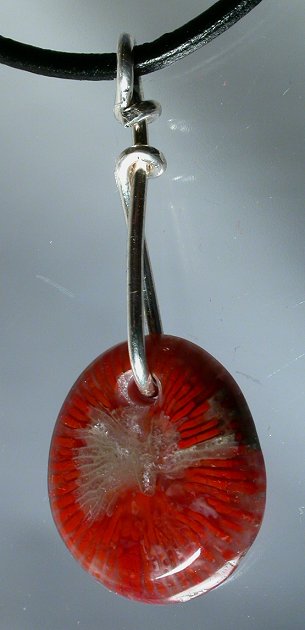 Designer Pendant Red Horn fossil coral jewelry Red Horn Coral red horn coral gems fossil coral cabs cabochons Tampa Bay designer gemstones petoskey petosky coral fossil metaphysical new age